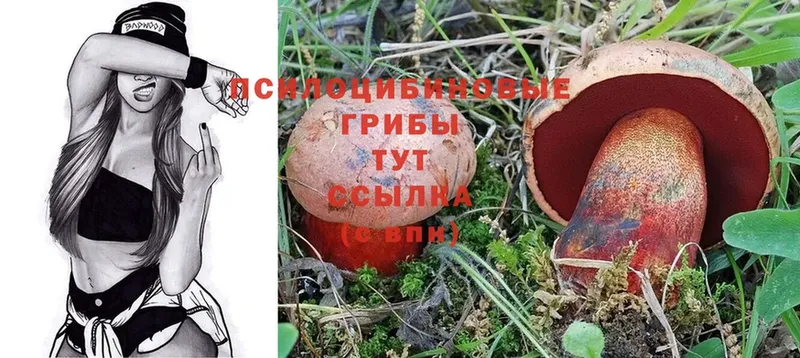 Псилоцибиновые грибы Magic Shrooms  дарк нет какой сайт  Нахабино  купить  